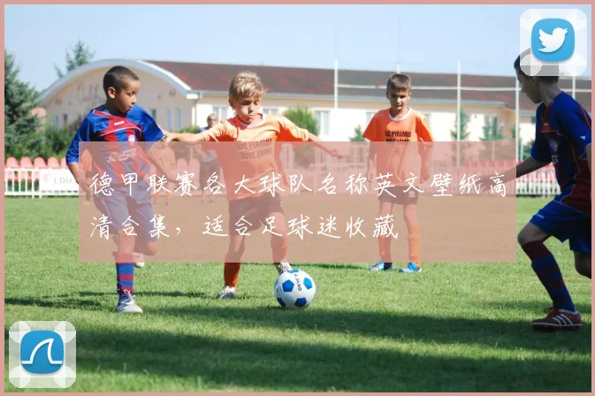 德甲联赛各大球队名称英文壁纸高清合集，适合足球迷收藏