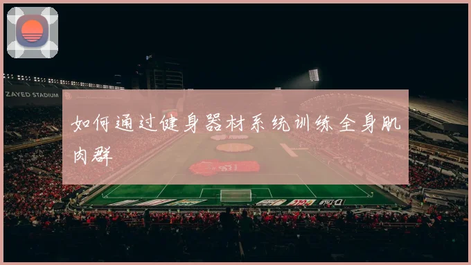 如何通过健身器材系统训练全身肌肉群