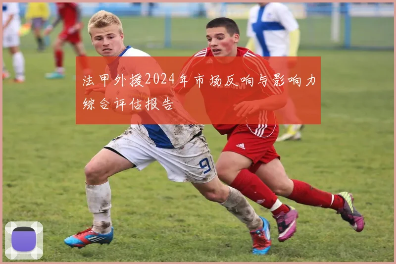 法甲外援2024年市场反响与影响力综合评估报告