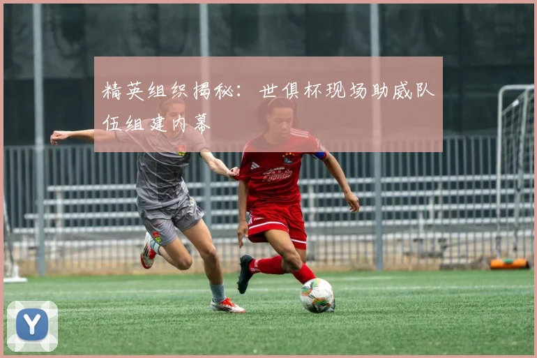 精英组织揭秘：世俱杯现场助威队伍组建内幕