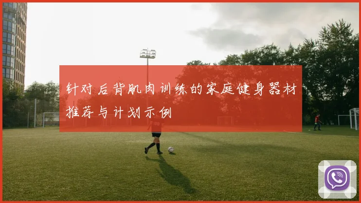 针对后背肌肉训练的家庭健身器材推荐与计划示例